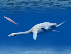 Digital drawing of a pleisiosaur swimming with a squid
