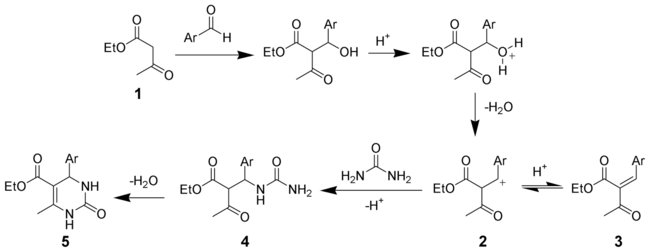 The mechanism of the Biginelli reaction