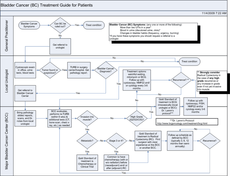 File:Bladder Cancer Treatment Guide v4.png