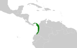 Campylorhynchus albobrunneus map.svg