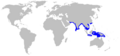 Pondicherry shark geographic range