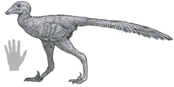Daliansaurus reconstruction.png