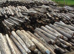 Illegal rosewood stockpiles 002.jpg