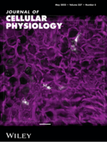 Journal of Cellular Physiology journal cover volume 237 issue 5.png