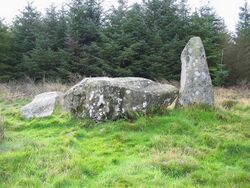 Loudon Wood Stone Circle - geograph.org.uk - 256267.jpg