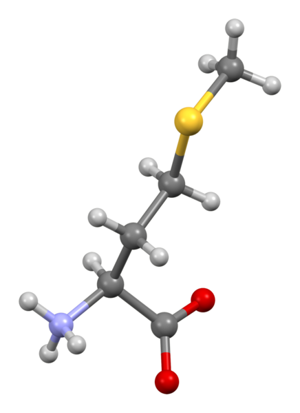 File:Methionine-from-xtal-3D-bs-17.png