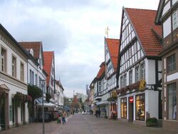Timbered houses