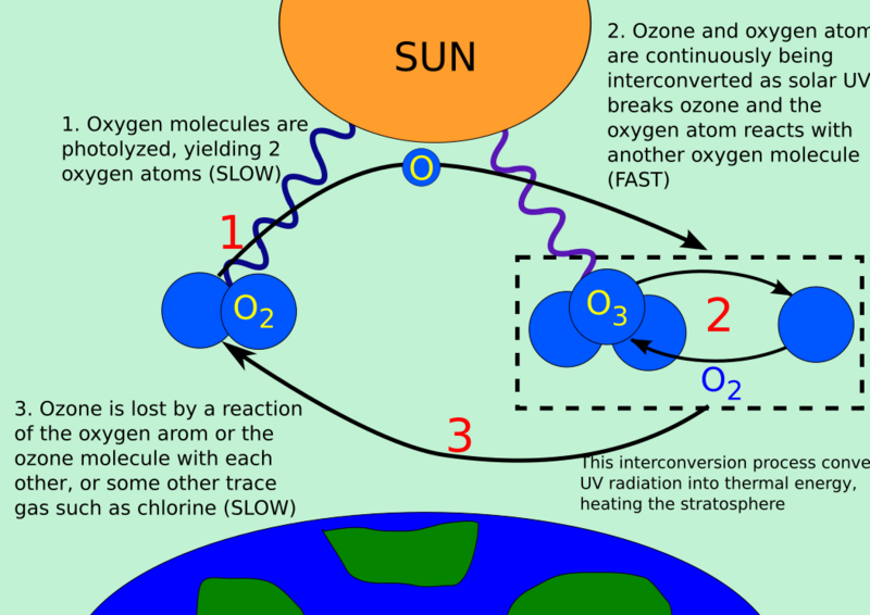 File:Ozone cycle.svg
