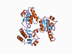 PDB 1a8y EBI.jpg