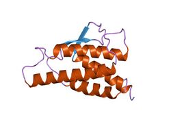 PDB 1rcb EBI.jpg