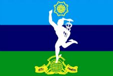 SLA SLSC flag.jpg