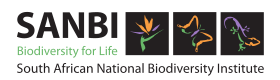 South African National Biodiversity Institute logo.svg