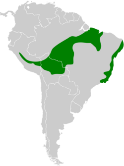 Thamnophilus palliatus map.svg