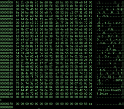 Binary executable file2.png