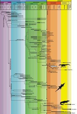 Biochronology of the Crocodylomorpha.png