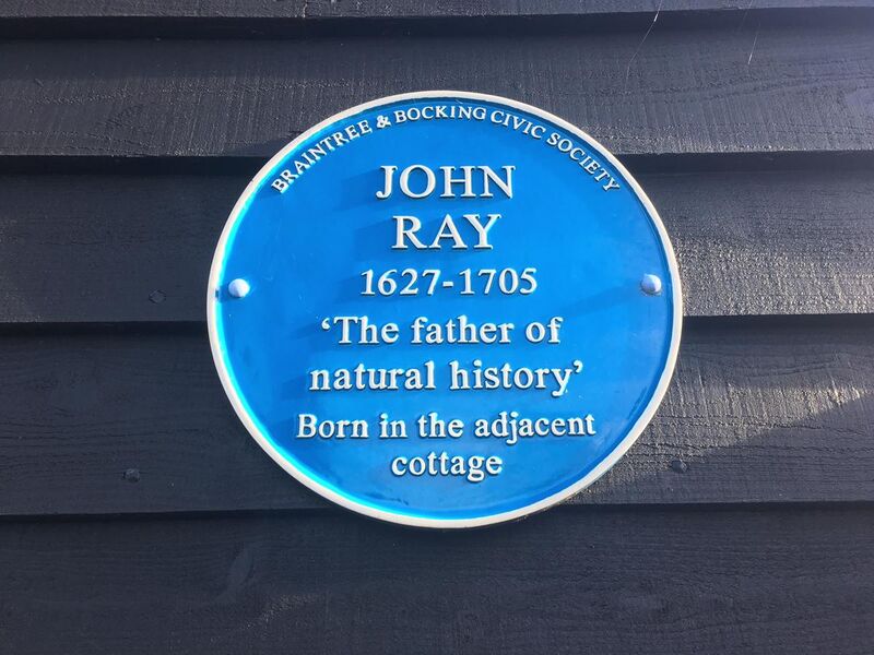 File:Blue plaque to John Ray.jpg