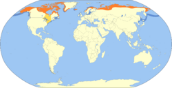 Clangula hyemalis map.svg