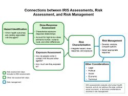 Connections between IRIS Assessments, Risk Assessment & Risk Management EPA 2015.jpg