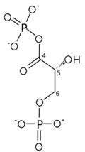 D-glycerate 1,3-bisphosphate.svg