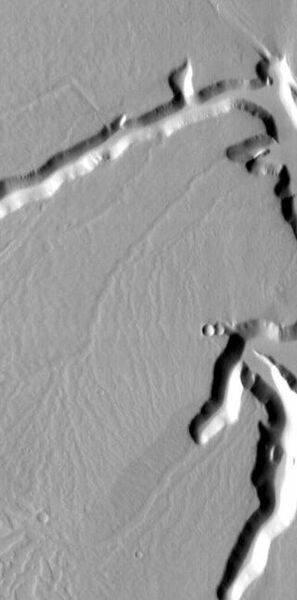 File:Echus Chasma Dendritic Channels.JPG
