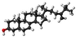 Ball-and-stick model of episterol