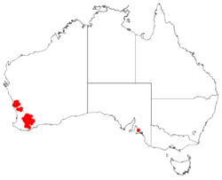 Hakea browniiDistMap15.png