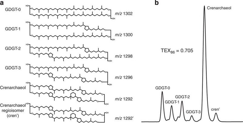 File:Molecular structures and HPLC detection of GDGTs.jpg