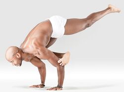 Mr-yoga-galavasana-one-leg.jpg