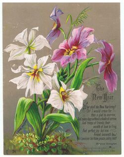 The New Year, with Odontoglossum. Chromolithograph. By Helga von Cramm with prayer by Marianne Farningham. (4.25 x 5.5 inches).jpg