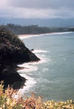 Western coast of Kauai close to Barking Sands.jpg
