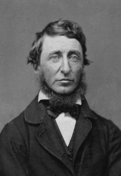 File:Benjamin D. Maxham - Henry David Thoreau - Restored - greyscale - straightened.jpg