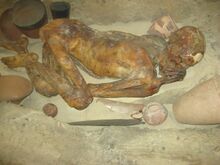 Mummified Pre-dynastic Egyptian