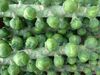 Brussels sprouts (4103982312) (2).jpg