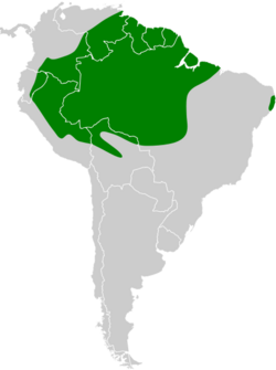 Dendrocolaptes certhia map.svg