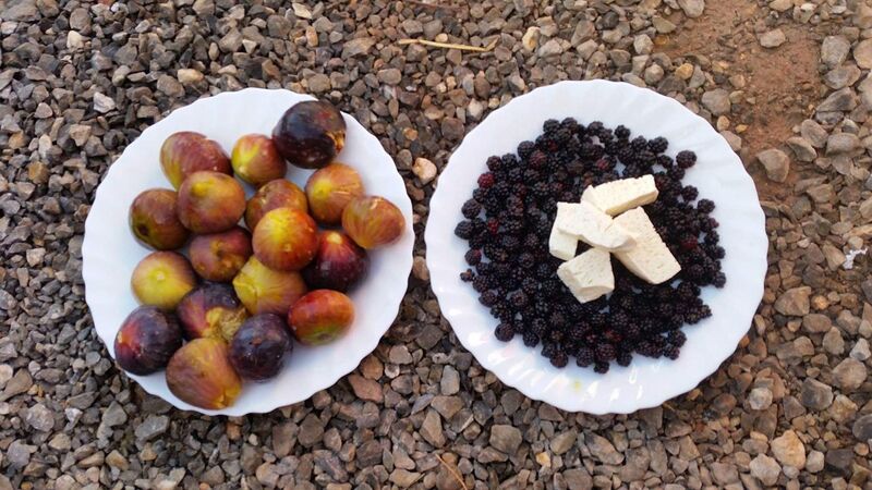 File:Figs, berries and cheese.jpg