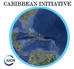 Logo Caribbean Initiative.jpg