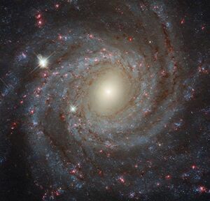 Multi-filter image of NGC 3344.jpg