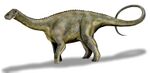 Nigersaurus BW.jpg
