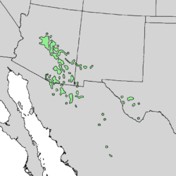 Quercus emoryi range map 1.png