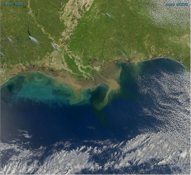 File:Sediment in the Gulf of Mexico.jpg