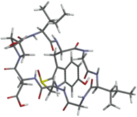 Amanullinic acid with tube model.png