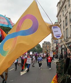 Autistic Pride Flag - Pride is a Protest.jpg