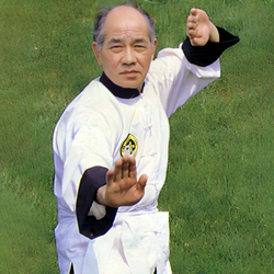 Chee Soo performing the Lee style Tai Chi dance.png