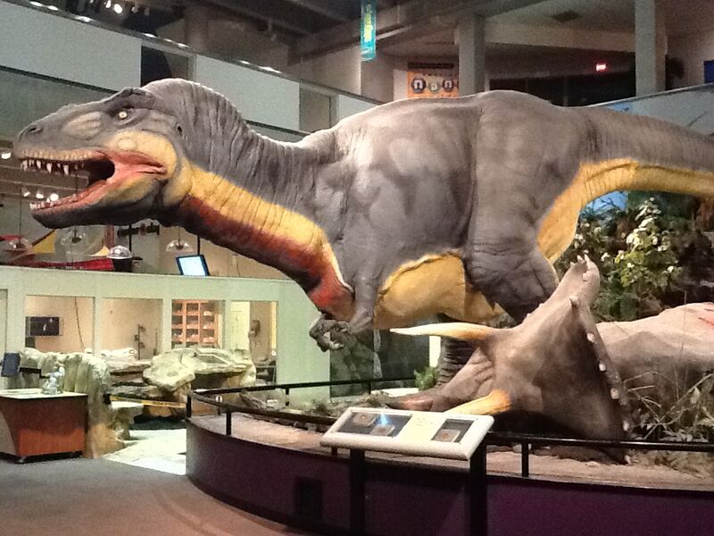 File:Dinosaur Diorama at Saint Louis Science Center.jpg