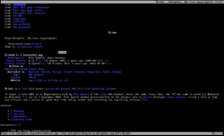 Elinks-screenshot-of-elinks-page.png