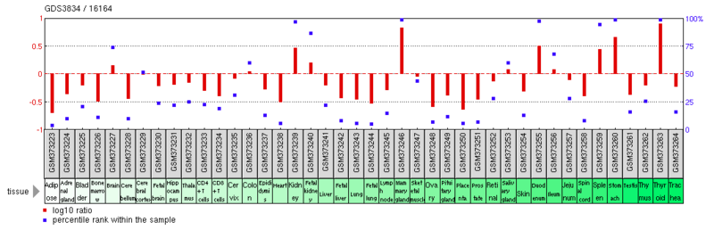 File:Expression profile of TMEM171 in normal tissues.png