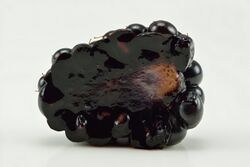 Halved blackberry (Rubus fruticosus).jpg