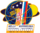 ISS Yearlong mission patch.png
