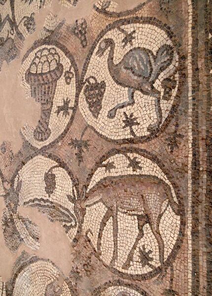 File:Mosaic of Byzantine Church of Petra 02.jpg