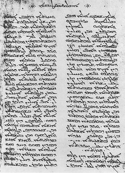A page filled with Syriac letters from a manuscript